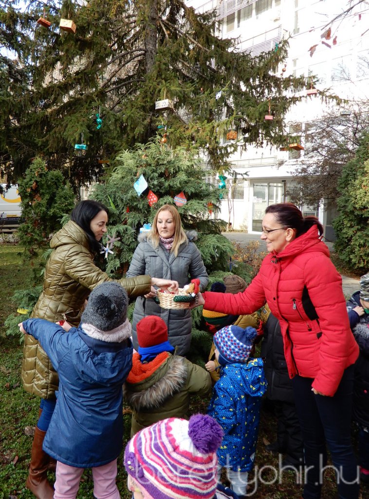 Fenyődíszítés a kórházban 26